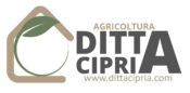 Logo Ditta Cipria